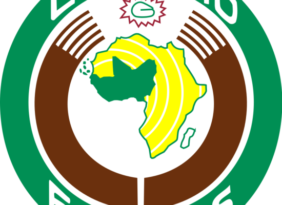 Niger: ECOWAS leaders to convene special meeting in Abuja, Sunday