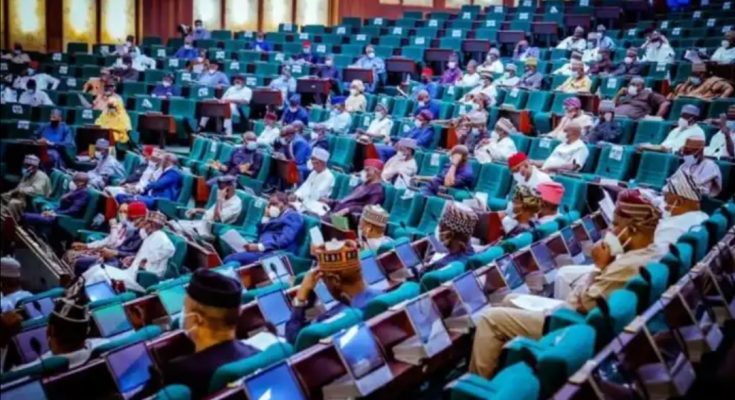 Reps. Set Up Committee To Investigate Mmesoma's UTME Result Scam, Asks JAMB To Rescind Suspension Of Candidate