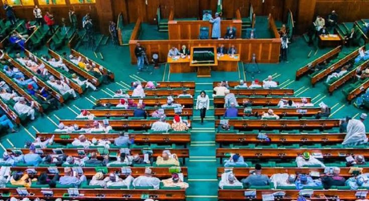 Reps to probe concession of Nigerian airports 
