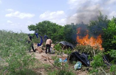 Troops kill scores of bandits, recover machine gun, others in Zamfara, Sokoto