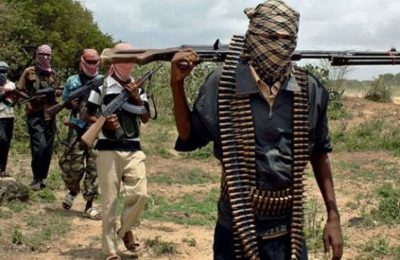 Bandits Allegedly Flee Niger State's Forests, Release Kidnapped Victims