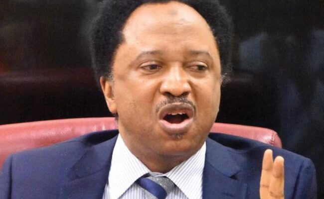 Ex-Governors in Tinubu's cabinet liabilities — Shehu Sani