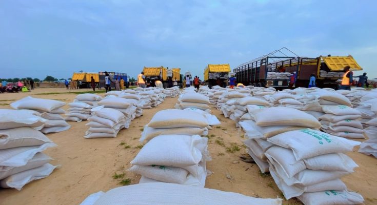 Fuel Subsidy: Zulum begins distribution of palliatives to 1.8m vulnerable