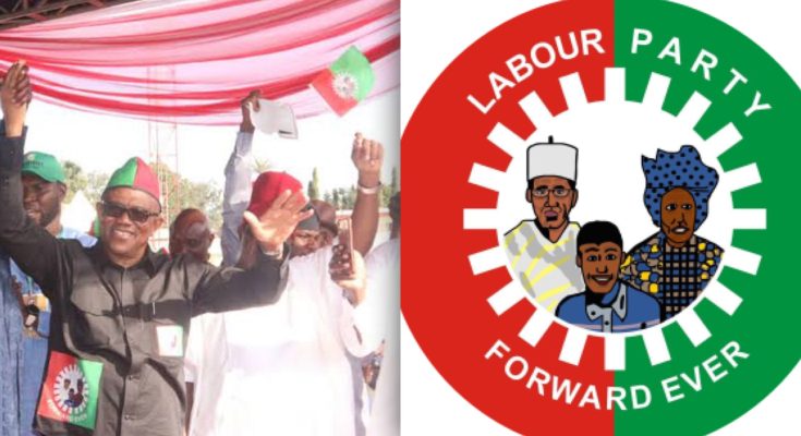 Labour Party will use 'Yahoo-Yahoo' internet fraudsters to develop Edo, party chieftain says