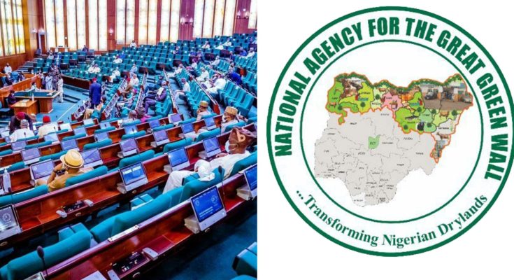 Reps uncover how National Great Green Wall spends N81.2bn planting 21m trees in 11 States