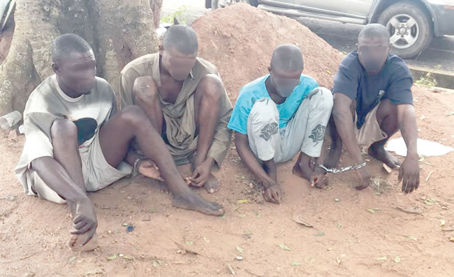 Societal rejection, hunger pushed me back into crime —Car snatching gang member