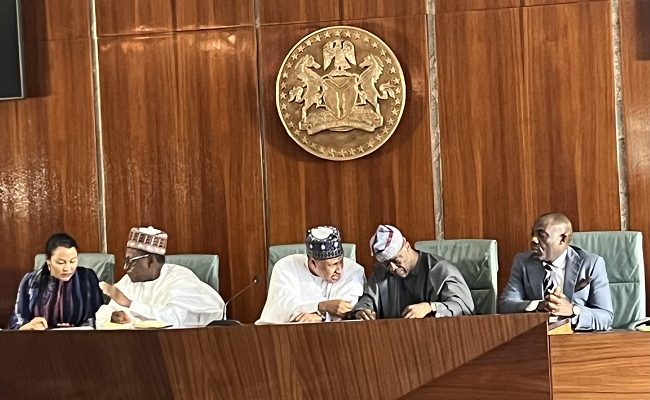 Tinubu gives ministers marching order to revive economy — FEC