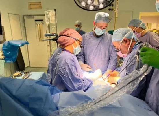 UK experiences its first successful womb transplant