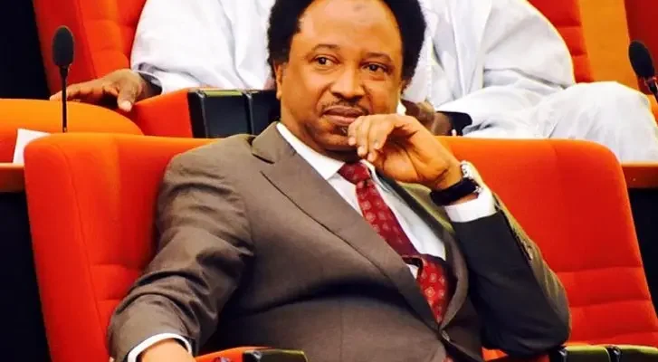 Abuja Was Wrecked, Massively Defrauded’ – Shehu Sani