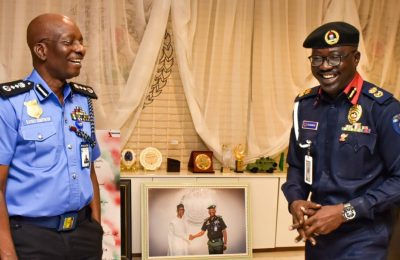 IGP, NSCDC FCT Commandant meet over security concerns in Abuja