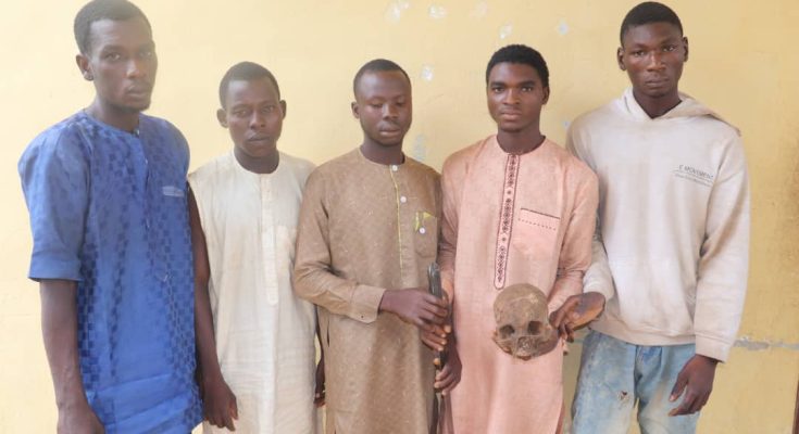 Money Ritual: Police Arrest Five In Possession Of Human Skull In Niger