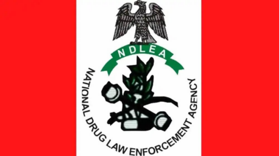 NDLEA seizes illicit drug consignment at Lagos Airport, intercepts five pregnant teenage girls