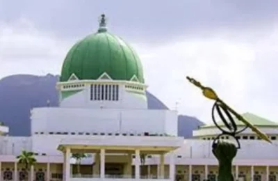 Resuscitate electoral offences bill to prevent thuggery, don urges NASS