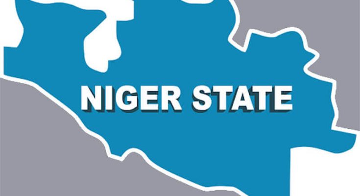 We have no doubt in Gov Umaru's promise — NUP Niger