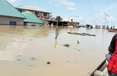 Lagdo Dam: Expect flood in 9 states, NEMA alerts Nigerians
