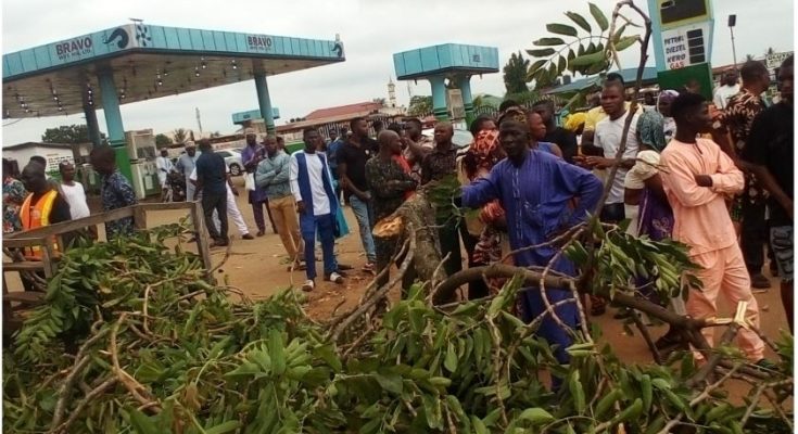 Fallen Tree Kills Two, Injures 10 In Kwara