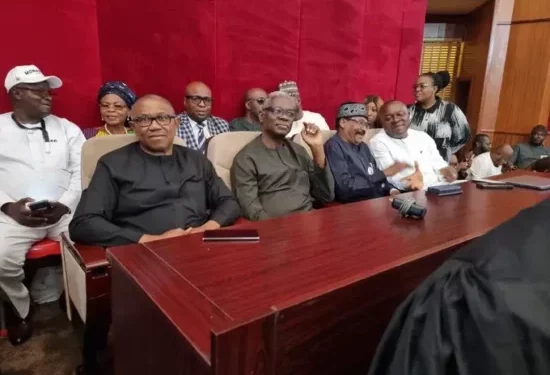 'Going To S'Court Is An Effort In Futility, Stop Wasting Resources' — Rivers LP Chairman Tells Obi