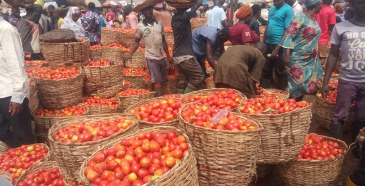 Lagos reopens Mile 12 international market