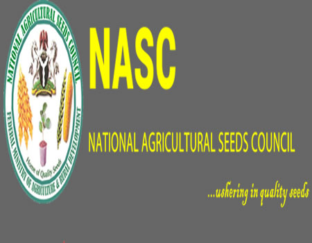 OECD NASC About N40m vegetable seeds destroyed over poor packaging, false information, There cant be food security, NASC writes salary wages, Nigeria supplies over 50% seeds,NESG unveils the Plant, For high-quality seeds, NASC launches scheme to monitor crop NASC to deploy seed trackers, NASC Seed, seedcodex, DG, market