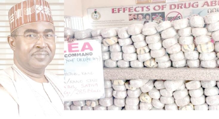NDLEA and quest to rid Nigeria of illicit drugs trafficking, abuse