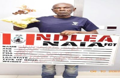 NDLEA nabs 67-year-old trafficker raising fund to marry