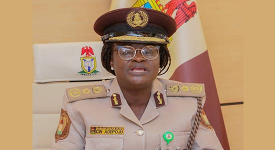 Passport: NIS boss orders probe into alleged unprofessional conduct of personnel
