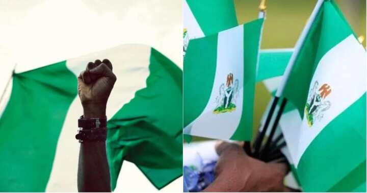 Nigeria's Flag Doesn't Have Coat Of Arms In The Middle — Fashola