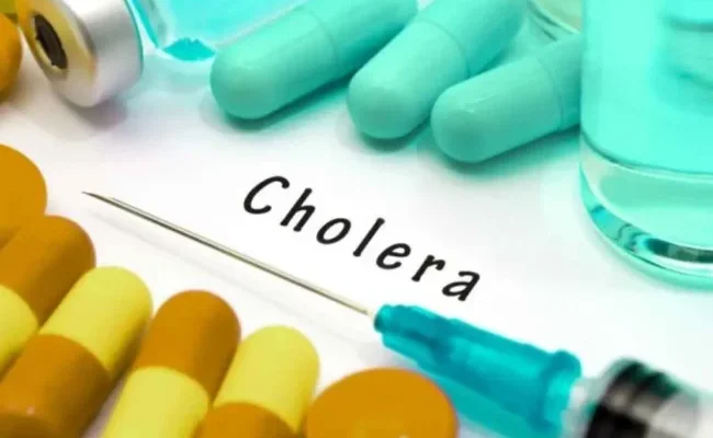 Ogun, three others record highest cholera cases in Nigeria