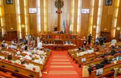 Senate confirms Olukoyede, Hammajoda as EFCC chairman, secretary