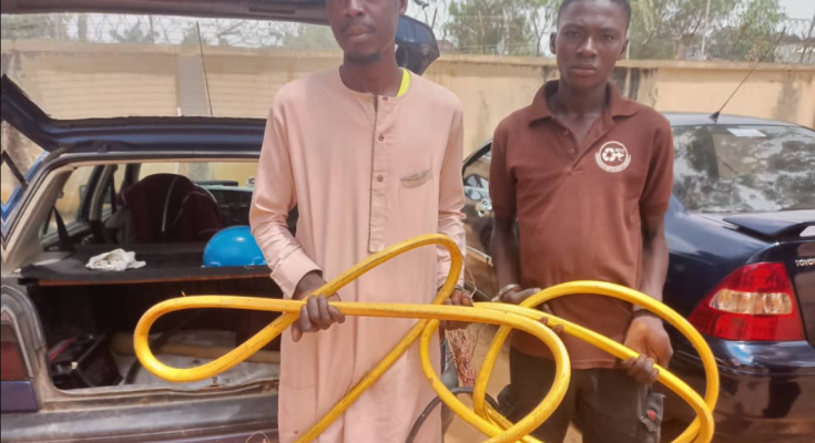 Two Nabbed For Vandalising, Stealing Cables Used To Power Yola Water Treatment Plant
