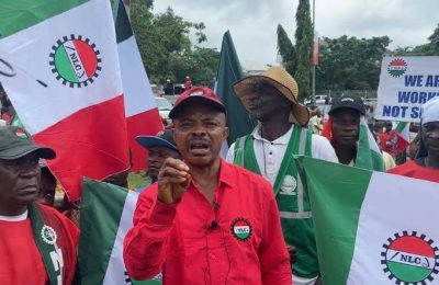 Why we suspended planned indefinite strike — NLC President