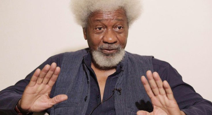 ‘Submit All Evidence In 30 Days Or Jump Into River Niger With Life Jackets’ — Soyinka To Those Disputing His Academic Records