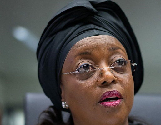 Diezani Excelled In Corruption, Her Record Remains Unmatched – TY Danjuma
