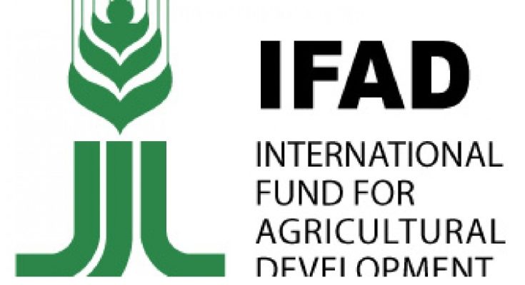 FG, IFAD train officials on digital monitoring, evaluation of projects