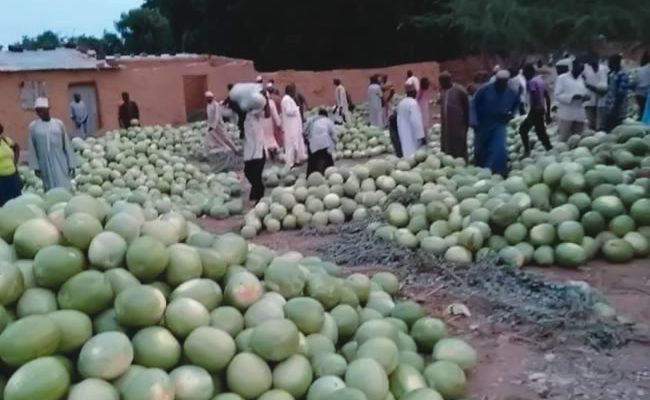 High cost of fuel has sent our customers away —Watermelon seller