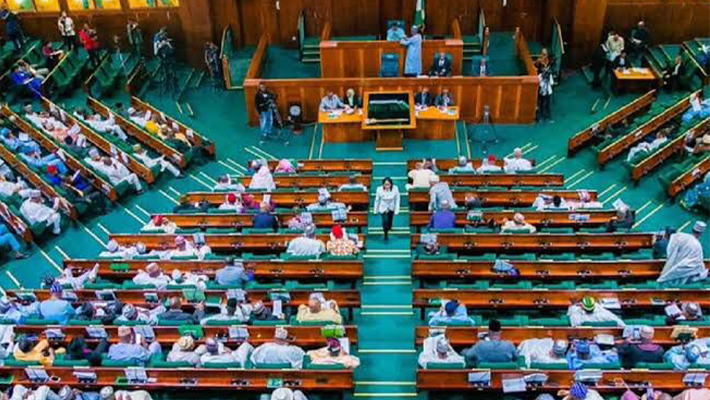 House of Representatives(Credit: Daily Trust)