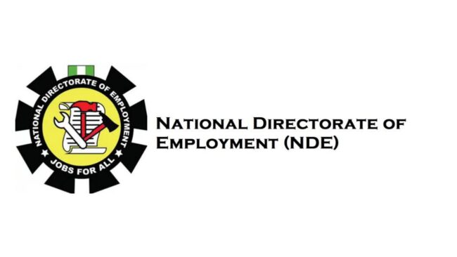 NDE sets new roadmap to operationalise Tinubu’s job creation agenda