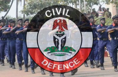 NSCDC parades armour cable thief in Kogi