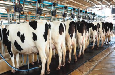 Nigeria spends $1.7bn annually on milk importation —MACBAN