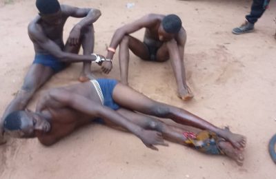 Volunteer guards arrest three suspected robbers in Benue