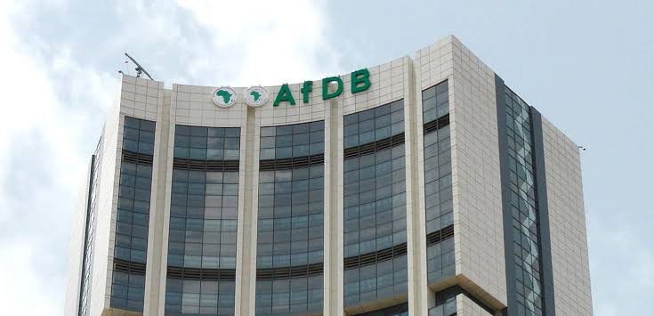 Africans must unite to mobilise, manage productive resources – AfDB
