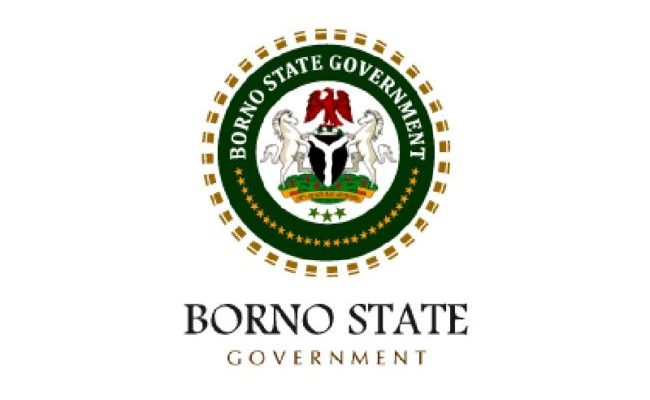 Borno govt seals French NGO for illegal operations