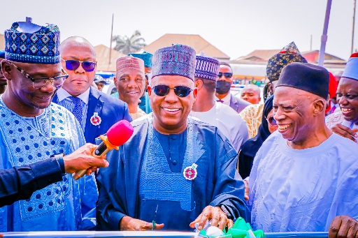 Embrace peace, harmony for economic growth, VP Shettima charges Nigerians