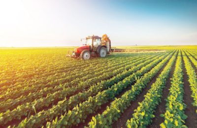 Insurance: Supporting Agriculture sector growth