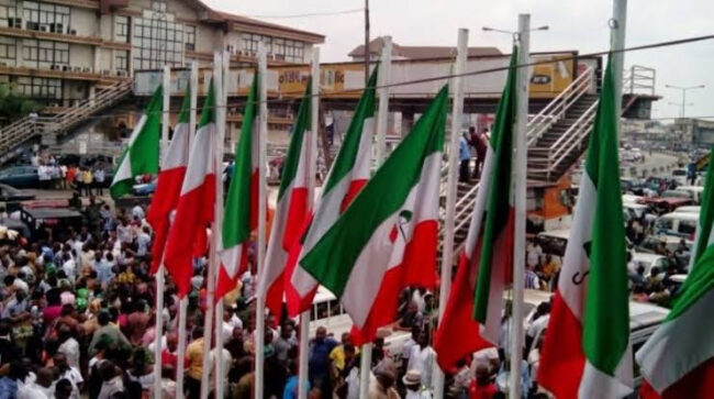 Jigawa PDP condemns NWC statement against