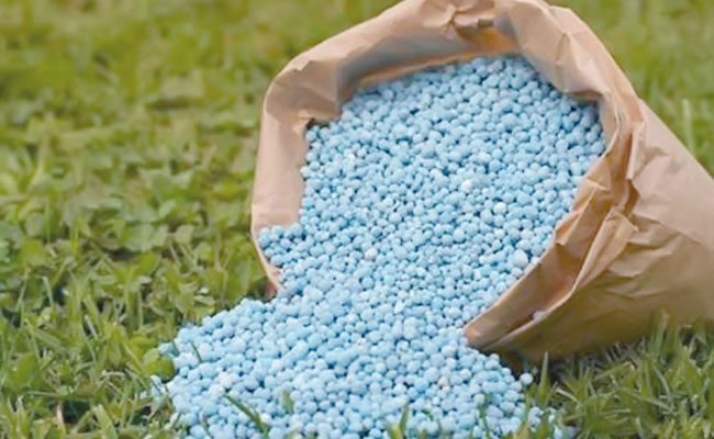 Niger govt to phase out chemical formula fertilisers