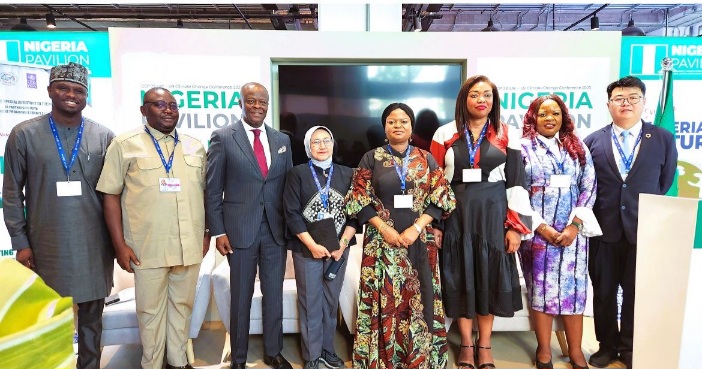 COP28: Nigerian govt wants Climate Action Plan accelerated 