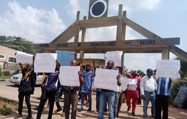 Ondo Agric college staff, students protest over land grabbers’ activities