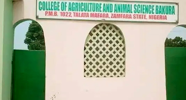 Zamfara: Provost lauds Gov Dauda for upgrading Bakura College