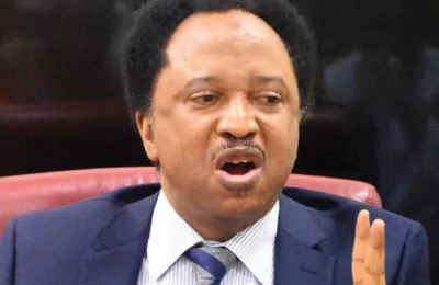 'Victims' Families Sold Their Homes, Personal Possessions To Pay Ransom, Gov. El-Rufai Did Nothing' — Shehu Sani